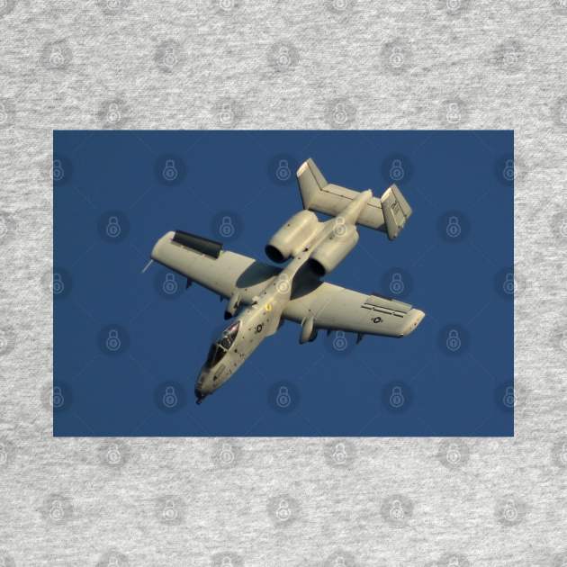 A-10 Warthog Diving by acefox1